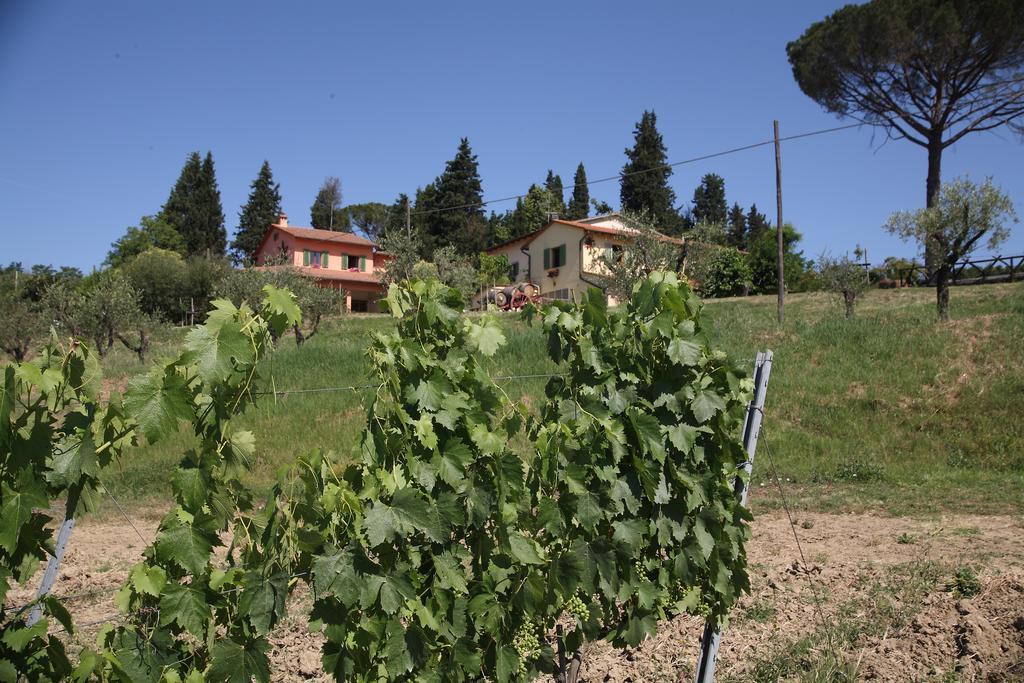 Agriturismo Podere Poggio Ai Cieli 圣吉米纳诺 外观 照片
