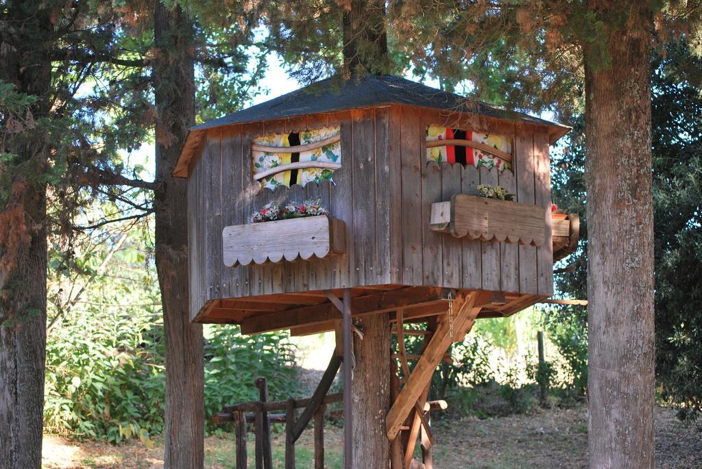 Agriturismo Podere Poggio Ai Cieli 圣吉米纳诺 外观 照片
